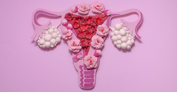Concept polycystic ovary syndrome, PCOS. Paper art, awareness of PCOS, image of the female reproductive system; blog: The Top 4 PCOS Symptoms & How They're Treated